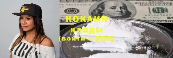 твердый Аркадак